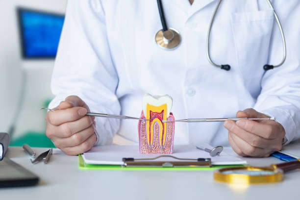 Best Walk-In Emergency Dental Services in Cookeville, TN